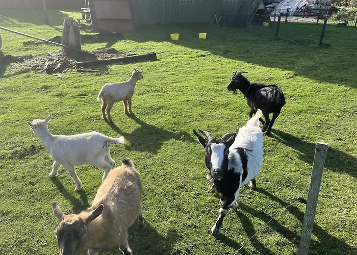 شقة Anke Thiede *