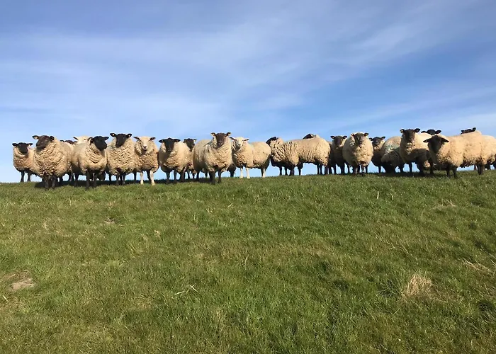 Anke Thiede * Lehe (Schleswig-Holstein)