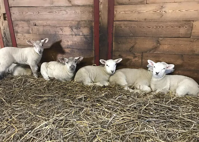 Anke Thiede شقة Lehe (Schleswig-Holstein)