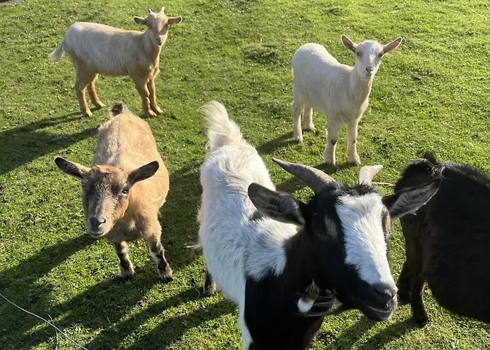 Anke Thiede شقة Lehe (Schleswig-Holstein)