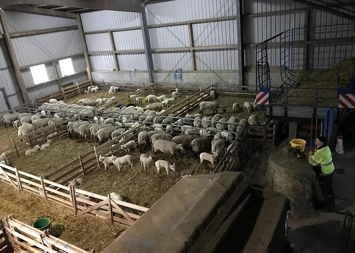 Anke Thiede شقة *