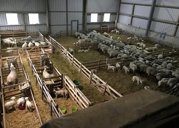 شقة Anke Thiede *